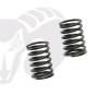 Rear Shock Black Springs