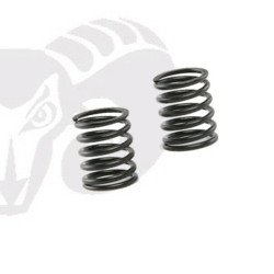 Front Shock Black Springs