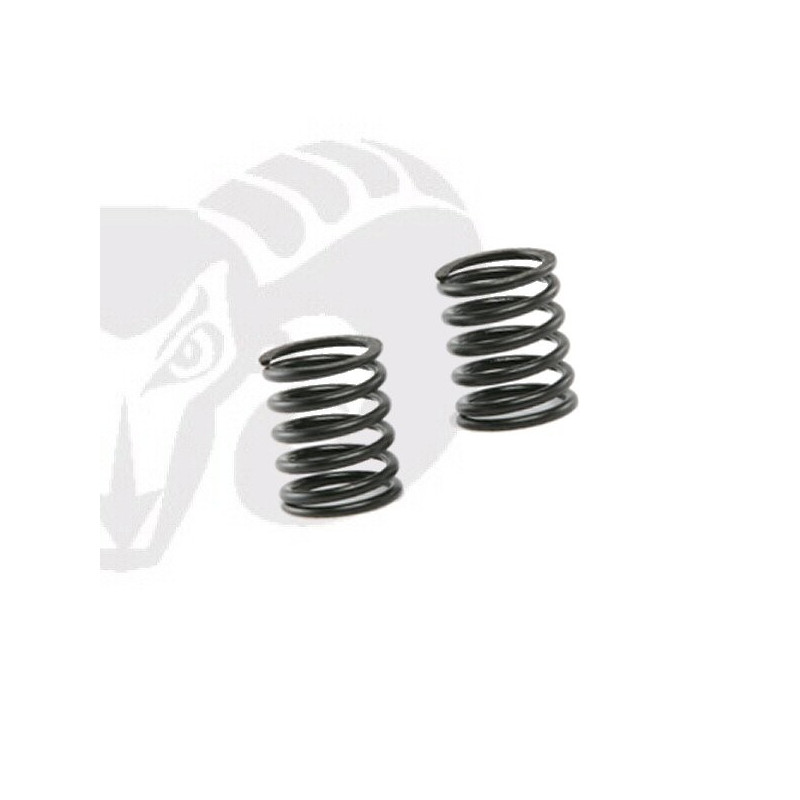 Front Shock Black Springs