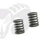 Front Shock Black Springs