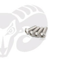 Button Head Screws M3x10 "Titanium"