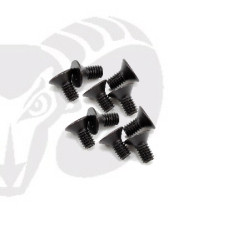 Flat Head Screws M2x6