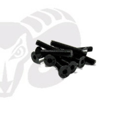 Flat Head Screws M2x20