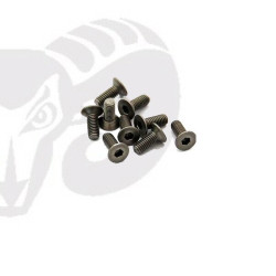 Flat Head Screws M3x6 "Titanium"