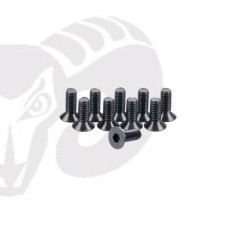 Flat Head Screws M3x10