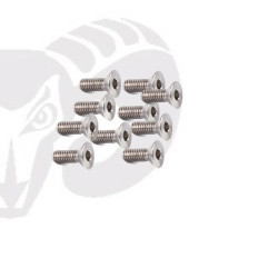 Flat Head Screws M3x10 "Titanium"