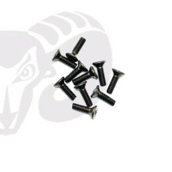 Flat Head Screws M3x12