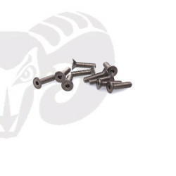 Flat Head Screws M3x12 "Titanium"