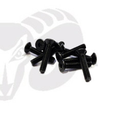 Flat Head Screws M3x14