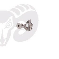 Flat Head Screws M4x8 "Titanium"