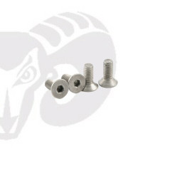 Flat Head Screws M4x10 "Titanium"