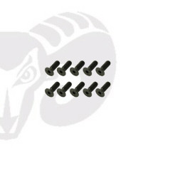 Flat Head Screws M4x12
